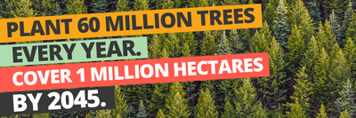 Plant 60 million trees